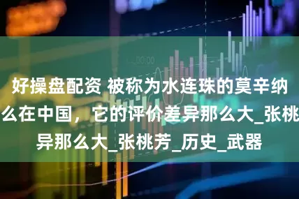 好操盘配资 被称为水连珠的莫辛纳甘步枪，为什么在中国，它的评价差异那么大_张桃芳_历史_武器